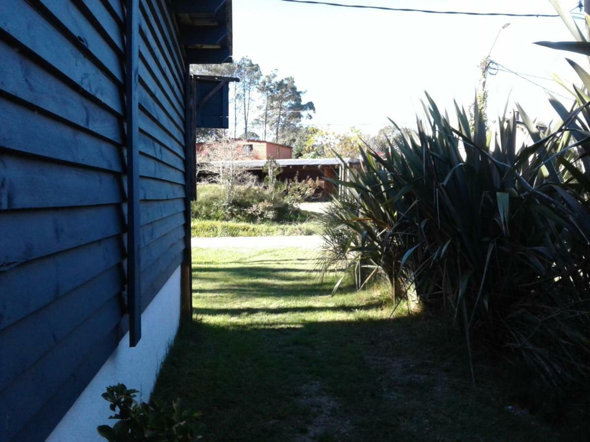 Lunas Del Bosque Cabana Y Apartamento En Suite 拉帕洛马 外观 照片